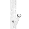 Bong