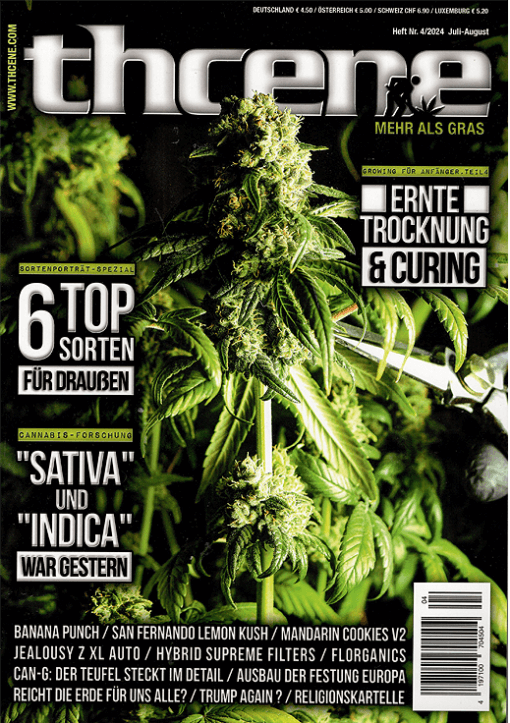 THCene Magazin