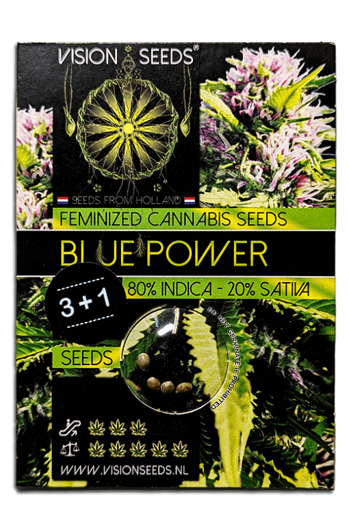 Samen Seeds Blue Power