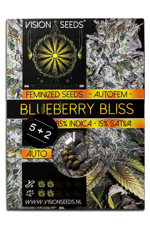 Samen Seeds Blueberry Bliss