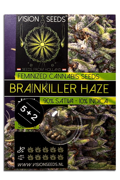 Samen Seeds Brainkiller haze