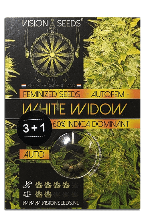 Samen Seeds White Widow