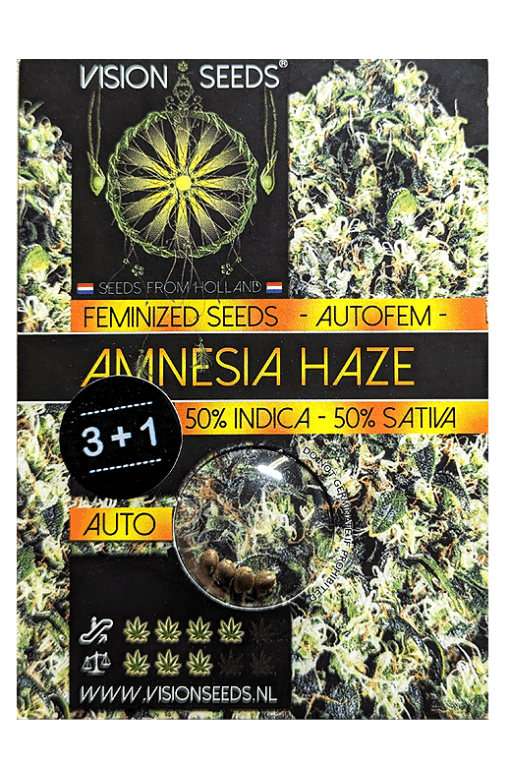 Cannabis Samen Amnesia Haze