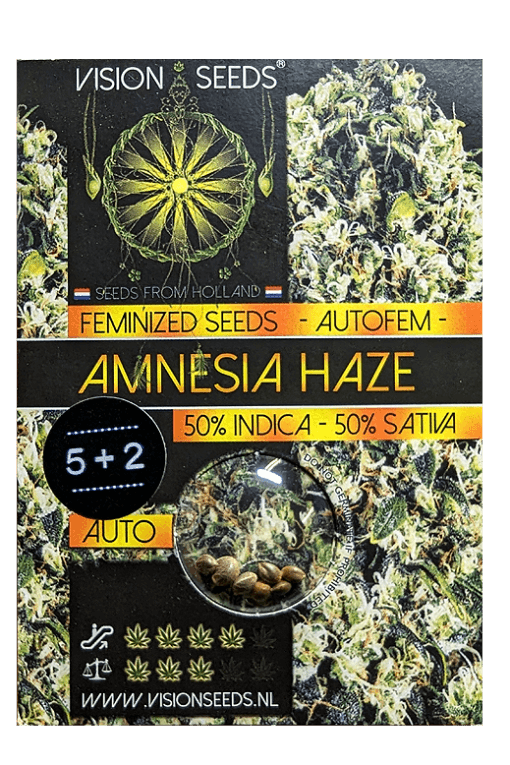 Cannabis Samen Amnesia Haze