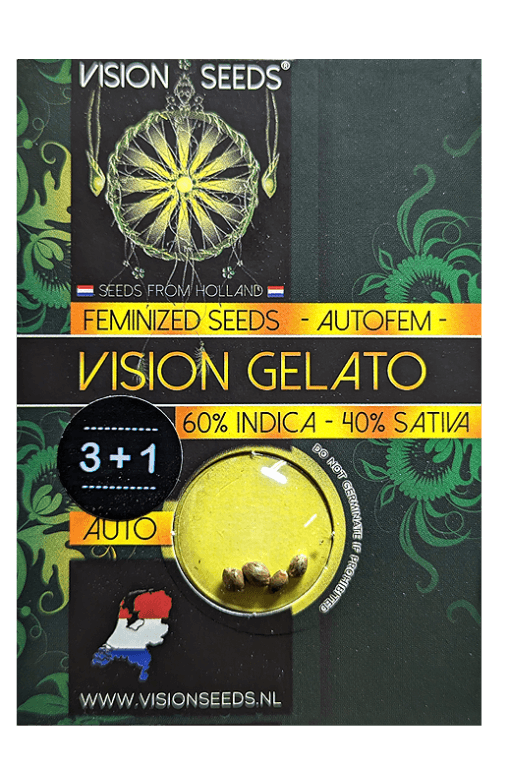 Cannabis Samen Vision Gelato