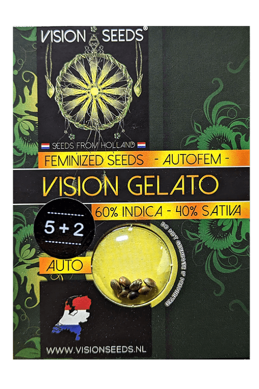 Cannabis Samen Vision Gelato