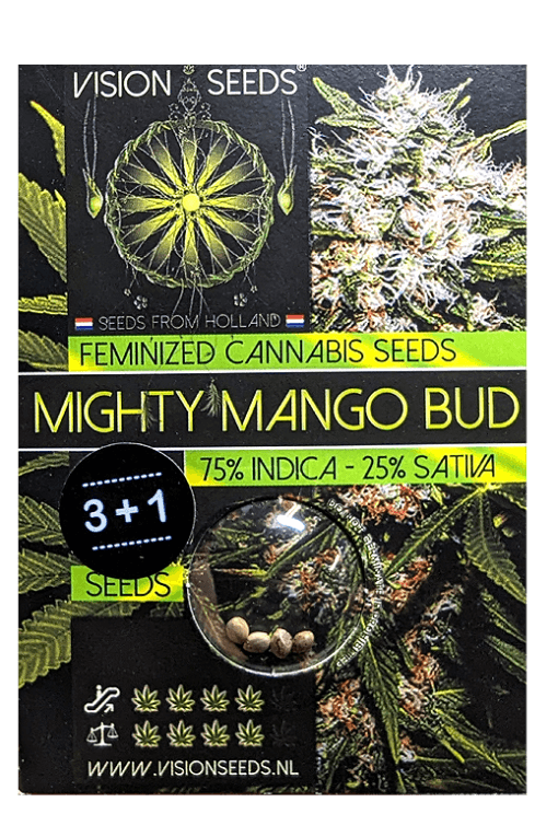 Samen Seeds Mighty Mango Bud