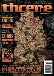 THCene Magazin