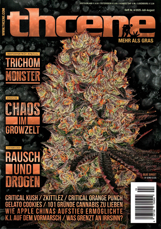 THCene Magazin