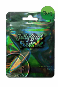 Samen Green Crack