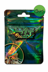 Cannabis Samen Mendo Juice Auto