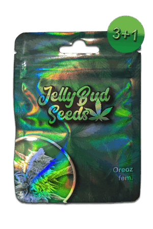Cannabis Samen Oreoz feminisiert