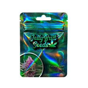 Purple Kush Samen – Feminisierte Cannabis Samen mit 23% THC