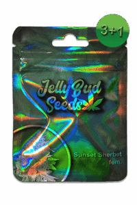Cannabis samen Sunset Sherbet
