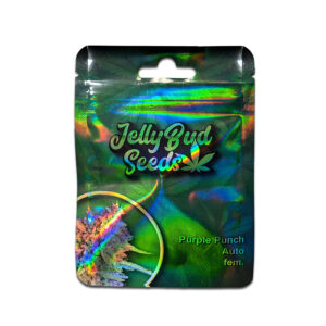 Purple Punch Auto Samen – Feminisierte Autoflowering Cannabis Samen