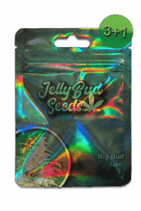 Seeds Big Bud