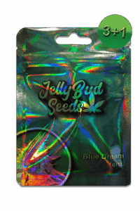 Samen "Blue Dream" fem.