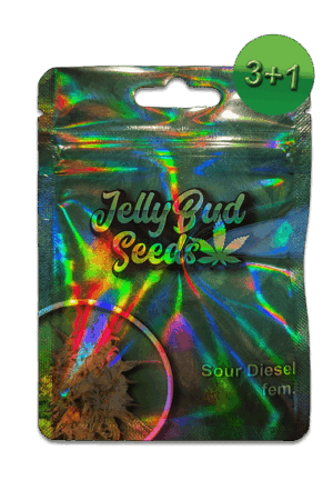 Samen "Sour Diesel" fem.