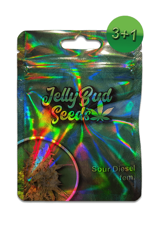Samen "Sour Diesel" fem.