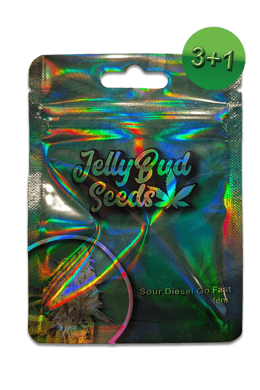 Samen Sour Diesel Go Fast
