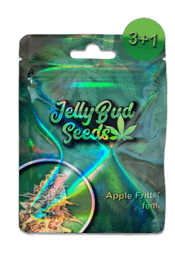 Cannabis Samen Apple Fritter fem.