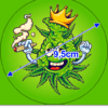 Aufkleber Bud Smile