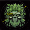 Aufklkeber Weed Leaf Skull