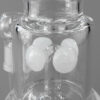 Bong-Glasbong-Anchor-3