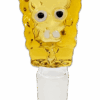 Schwammkopf Köpfchen