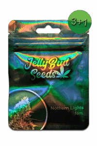 Nothern Lights