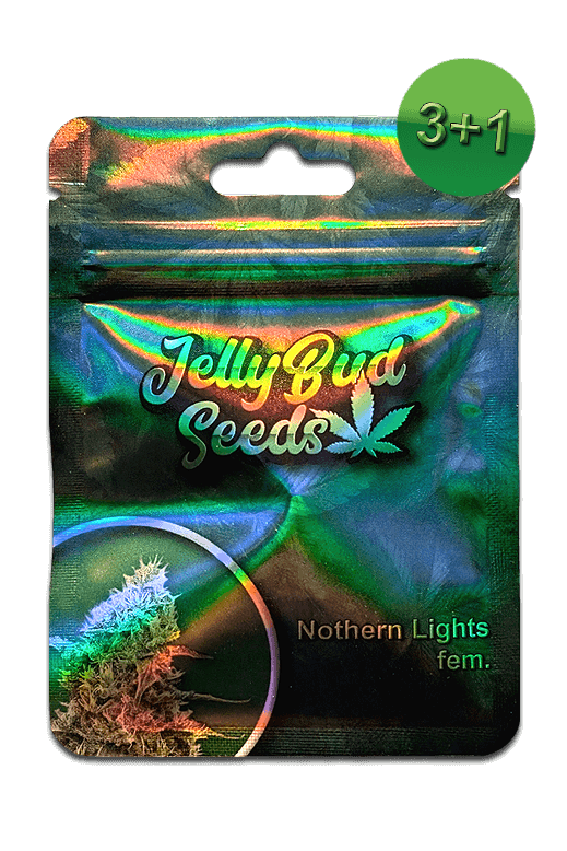 Nothern Lights