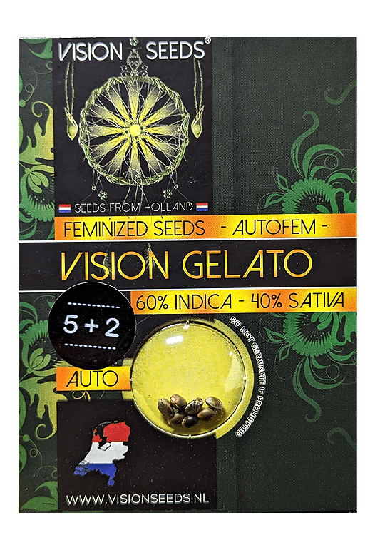 Cannabis Samen Vision Gelato