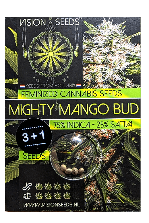 Samen Seeds Mighty Mango Bud