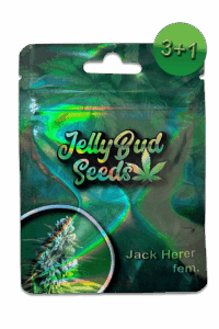 Cannabis Samen Jack Herer