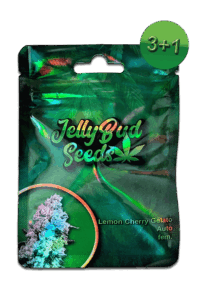 Cannabis Samen Lemon Cherry Gelato