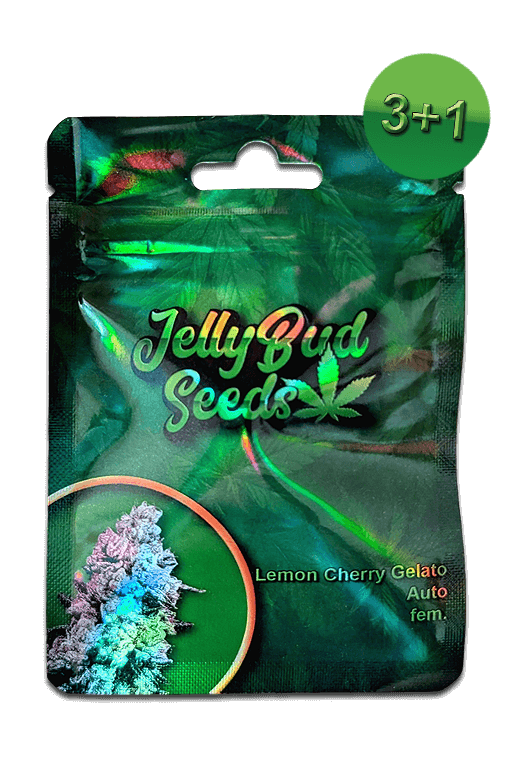 Cannabis Samen Lemon Cherry Gelato