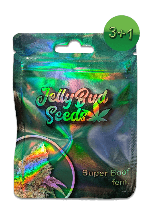Cannabis Samen Super Boof