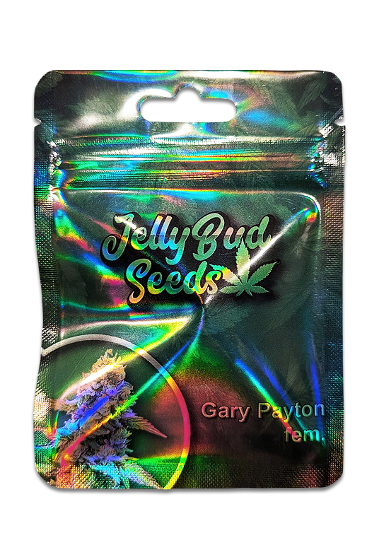 Frontansicht der Gary Payton Cannabis Seeds Verpackung – feminisierte 3+1 Samen