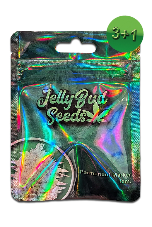 Permanent Marker Cannabis Samen Packung – Jelly Bud Seeds fem. 3+1