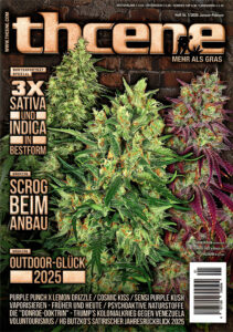 THCene Magazin Ausgabe 1/2026 Januar Februar Titelbild
