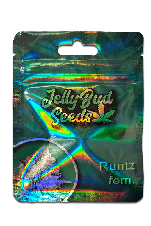 Jelly Bud Seeds „RUNTZ“ fem. - Cannabis Samen 1 Packung Cannabis-Samen Runtz fem. – Vorderseite
